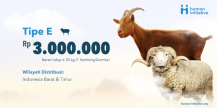 Qurban Kambing/Domba : Tipe E | Rp 3.000.000